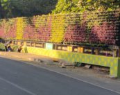 नागपुरमध्ये १५ वर्टिकल गार्डन बसवले जाणार,नाला प्रदूषणावरील नियंत्रणास शहराचे होणार सौंदर्यीकरण!
