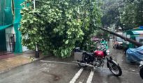 Rain batters Nagpur, NMC’s Fire Brigade swamped with emergency calls
