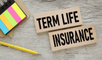 Top Whole Life Insurance Companies in India
