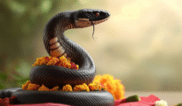 Nag Panchami 2025 : नागपंचमी पर नागों के रहस्य, पुराण से जानें कब और कैसे सांप के काटने पर मृत्यु तय हो जाती है