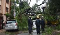 NMC’s Fire Brigade responds to tree collapse incidents as rain lashes Nagpur