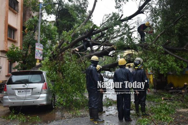 NMC’s Fire Brigade responds to tree collapse incidents as rain lashes Nagpur