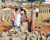 गोंदिया: किसानों की बल्ले बल्ले , धान बोनस के 1650 करोड़ जारी