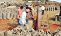 गोंदिया: किसानों की बल्ले बल्ले , धान बोनस के 1650 करोड़ जारी
