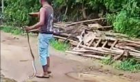 Video गोंदिया: मौत का मंजर ,  वह खिलौना समझ कोब्रा सांप से खेलने लगा