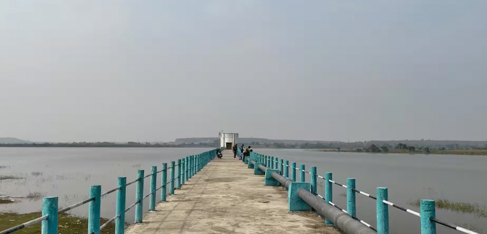 High Court Seeks Affidavit on Surabardi Lake Encroachment Within a Week