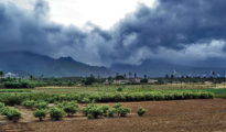 Orange Alert Issued for East Vidarbha; Heavy Rain, Thunderstorms Forecast