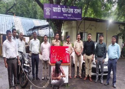नागपुरात वाडी पोलिसांची कारवाई; ३ दिवसांत झालेल्या घरफोडीत ७.४२ लाखांचा मुद्देमाल जप्त