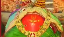 नागपुरात ढोल-ताशांच्या गजरात गणपती बाप्पांचे स्वागत; गणेश टेकडी मंदिरातही भाविकांची उसळली गर्दी !