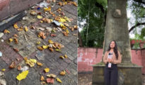 From pride to shame: Nagpur’s historic Jay Stambh choked in filth ahead of I-Day!!