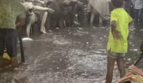 नागपूरच्या चितारओळीत नवरात्राच्या तयारीत पावसाचा अडथळा; देवीच्या  मूर्ती भिजल्याने मूर्तिकार चिंतेत!