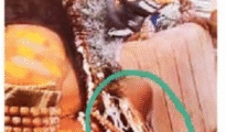 Python paraded at Ganesh Visarjan with mouth taped shut, sparks outrage in Nagpur