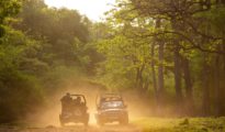 Tadoba Tiger Safari Rates Hiked From Oct 1, Tourists Face Steep Costs
