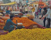 Massive Rush at Nagpur’s Flower Market; Marigold, Chrysanthemum, and Lotus in Huge Demand!