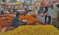 Massive Rush at Nagpur’s Flower Market; Marigold, Chrysanthemum, and Lotus in Huge Demand!