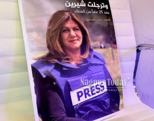 Israel-Gaza War: 241 journalists killed