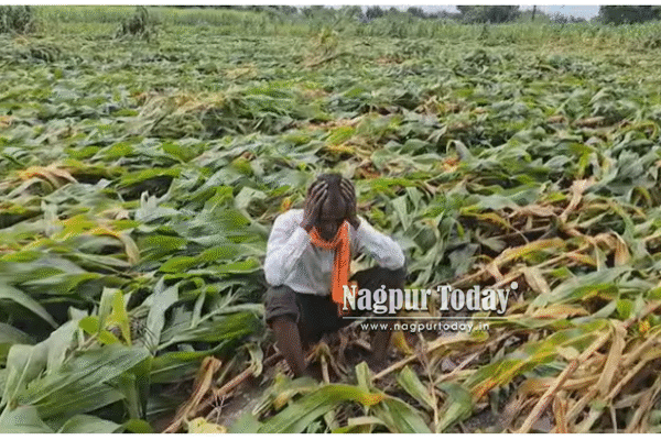 Over 33 lakh Maha farmers to benefit from State flood relief package