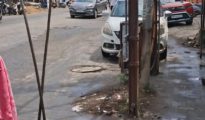 Trees, Poles Blocking Roads: Nagpur Bench of Bombay High Court Takes Suo Motu Action