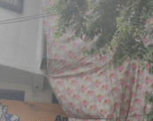 Nagpur’s flyover boom turns into a public health crisis, citizens pay the price!!