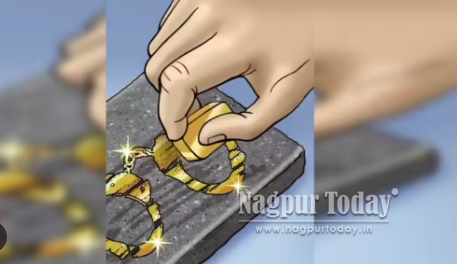 Woman steals gold ornaments worth Rs 2.16 lakh from jewellery shop in Itwari