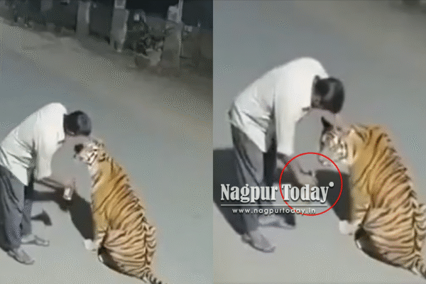 Nagpur: AI-Generated Tiger Video Falsely Linked to Pench, Forest Department Issues Warning