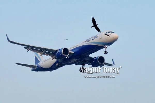 IndiGo issues advisory as fog triggers flight delays