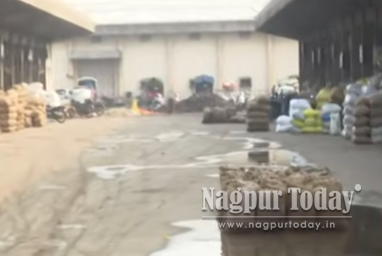 Unseasonal Rain Impacts Nagpur, Grain Soaked at Kalamna APMC Market