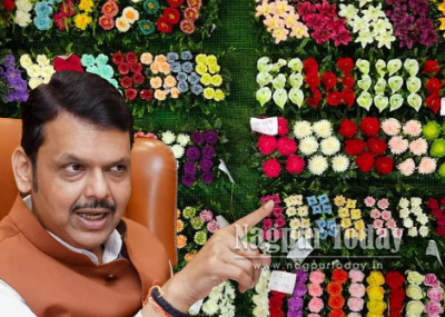 प्लास्टिक फुलांवर राज्य सरकारचा ‘बिग अॅक्शन’; बंदीच्या निर्णयामुळे शेतकऱ्यांना दिलासा