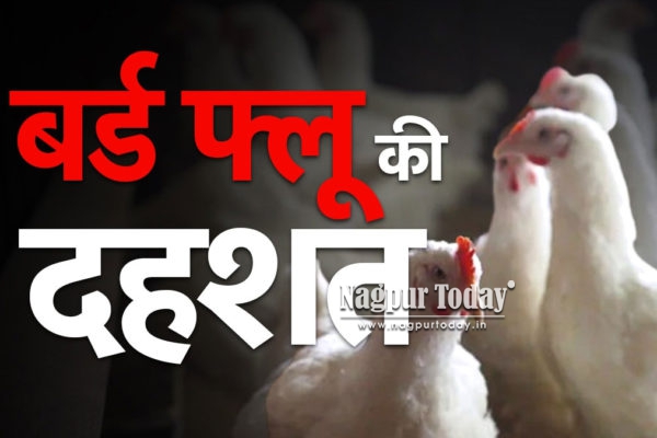 Bird Flu Confirmed at Seminary Hills Hatchery, Officials Ordered for Urgent Action