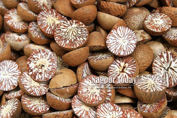 Rs 1,700-crore tax evasion unearthed: Inside Nagpur’s shadowy supari trade network