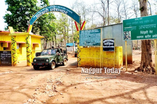 गोंदिया/भंडारा: नवेगांव- नागझिरा , पर्यटकों की एंट्री के लिए 4 नए गेट की सौगात