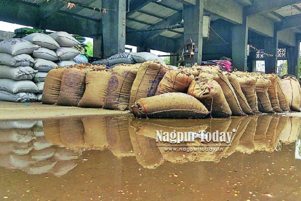 नागपुरात अवकाळी पावसाचा फटका; कळमना बाजारातील हजारो क्विंटल धान्य भिजले