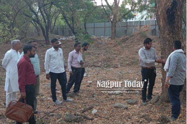 लंडन स्ट्रीटवरून ५० झाडे झाली अचानक गायब ???-धरतीने गिळली की चोरी झाली ?? ?