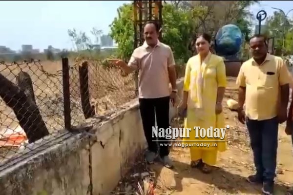 धरमपेठातील महेश चौकात होर्डिंगसाठी वृक्षांची कत्तल? नगरसेवक हिरणावर यांची कारवाईची मागणी
