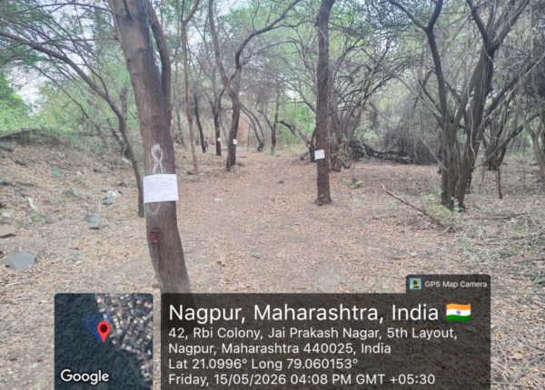 Green Murder in Nagpur: NMC Plans to Cut 65 Trees in Historic Amrai Forest