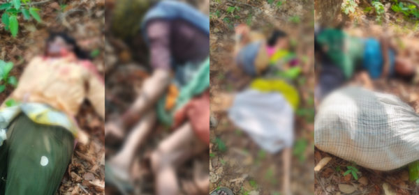 Tiger Attack Kills Four Women Collecting Tendu Leaves in Chandrapur