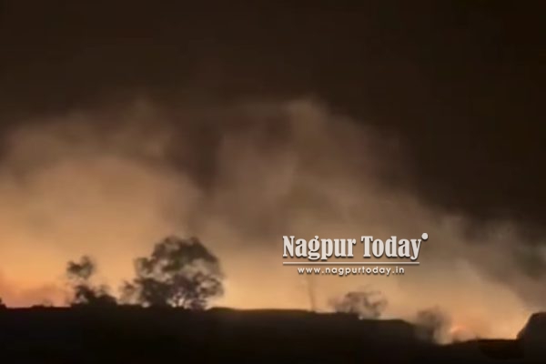 Nagpur: Half of Dhamangaon Village Gutted in Massive Fire; Livestock Killed, Families Left Homeless