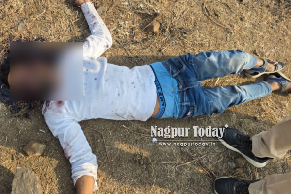 नागपुरात हत्यासत्र सुरूच; दगडाने ठेचून युवकाची हत्या; एमआयडीसी परिसरात खळबळ!