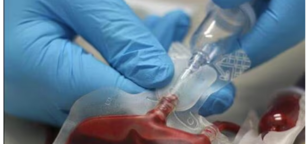 Maharashtra orders inspection of all blood centres after FDA shuts two facilities