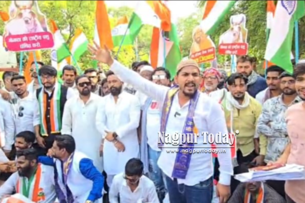 नागपुरात गोमातेसाठी मुस्लिम समाजाचा एल्गार; राष्ट्रीय पशू दर्जाच्या मागणीसाठी मोर्चा