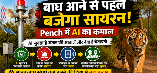 Video: Tiger Near Your Village? AI Will Warn You First in Pench