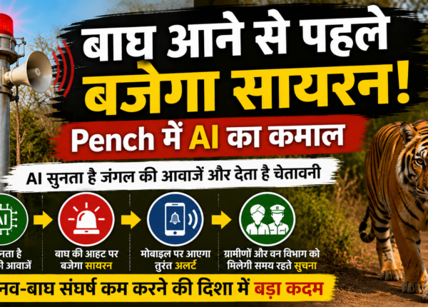 Video: Tiger Near Your Village? AI Will Warn You First in Pench