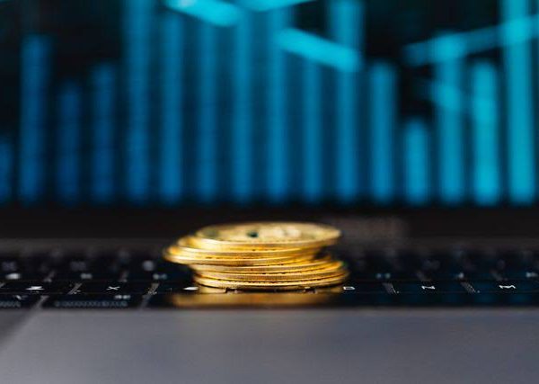 Zenvolt Review – Complete Platform Overview