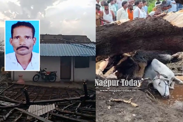 Nagpur Storm Tragedy: Farm Worker Dies After Tin Shed Lifts Him 25 Feet Into Air