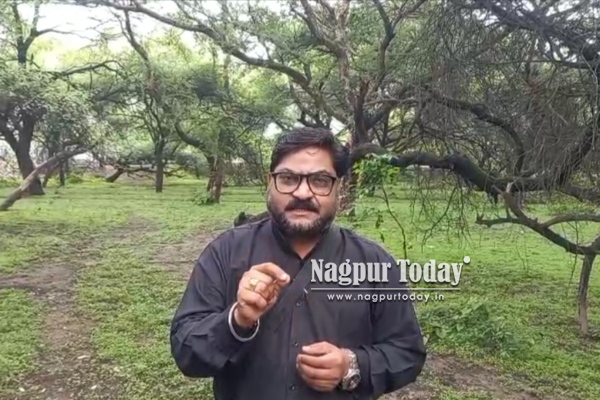 सोनेगाव आमराईतील वृक्षतोडीवर उद्या जनसुनावणी; 61 की 200 झाडे? नागरिकांचा मनपाला सवाल