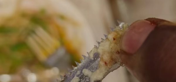 Blade Allegedly Found in Food at Nagpur Restaurant; Police Probe Underway