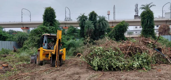 MahaMetro Says Only 249 Trees Felled on NEERI Land