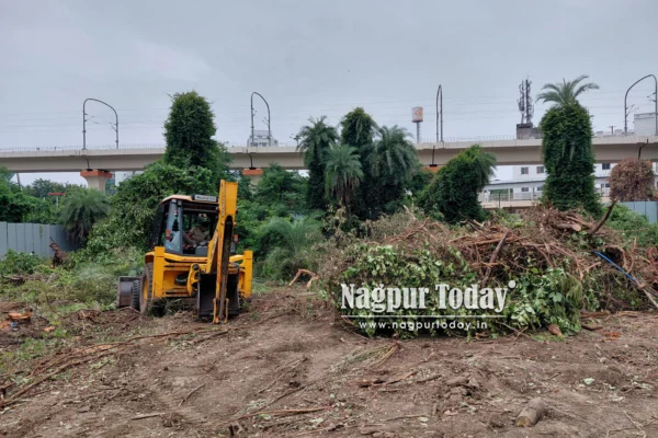 MahaMetro Says Only 249 Trees Felled on NEERI Land