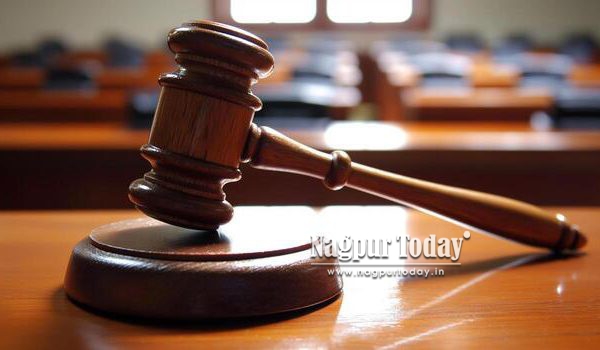 HC raps NMC over ‘selective’ bulldozer action, gives final deadline to clear encroachments