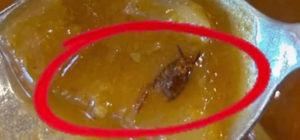 Worm Allegedly Found in Sambar at Mangaluru Kitchen, Nagpur